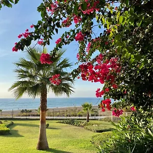 https://sunshine-spirit-oasis-beach-front-complex-now-best-price.es-andalucia.com